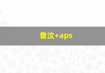 鲁汶 aps